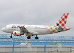 EC-MTD photo, click to enlarge