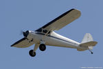 N71836 @ KOSH - Luscombe 8A Luscome Master  C/N 3263, N71836 - by Dariusz Jezewski www.FotoDj.com