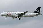 HB-IJO photo, click to enlarge