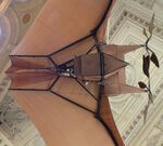 NONE - Clement Ader Avion III 1897 (made some short hops) at the Musee des Arts et Metiers, Paris - by Ingo Warnecke