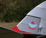 G-ECDF @ EGTH - 1947 DH Fox Moth tail emblem - by Chris Holtby