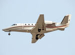 D-CXLS photo, click to enlarge