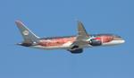 JY-BAH @ KDTW - RJA 788 Petra zx dtw-amm, ojai - by FloridaMetal
