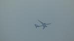 TF-ISO - Icelandair - by Eddyag
