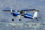 N90067 @ KPOC - Brackett airport in California 2026 - by Clayton Eddy