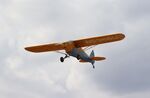 N5366U @ FD88 - Anderson Cub Special Replica - by Mark Pasqualino