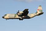 525 @ LMML - Lockheed Martin C-130J-30 Hercules reg 525 of Royal Oman Air Force landing in Malta RW31. - by raymond