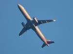 N132AN @ KDTW - AAL A321 zx dfw-dtw - by FloridaMetal