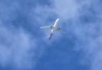 N188NV @ KPIE - AAY A320 zx tys-pie - by FloridaMetal
