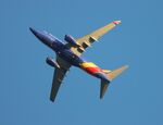 N203WN @ KDTW - SWA 737 zx stl-dtw - by Florida Metal