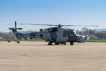 ZZ529 @ EGDY - ZZ529 Agusta Westland Wildcat HMA2 RNAS Yeovilton 
 - by PhilR
