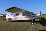 N1942C @ KLAL - Cessna 170B - by Mark Pasqualino