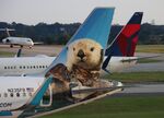 N235FR @ KATL - FFT A320 Pike zx - by Florida Metal