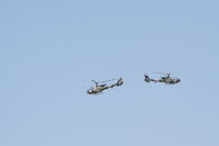  - Blue Eagles at Royal International Air Tattoo 2006 - by Steve Staunton