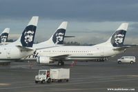  - 737s from Alaska Airlines - by Michel Teiten ( www.mablehome.com )