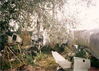  - Bone yard at Wauchula. - by Terry L. Swann