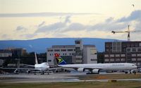  - Two big birds on the way to their rest places in the southern parts of Fraport - by Holger Zengler