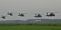  - Black Hawks - by Andi F