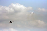  - A common sight off the 15s, a left and right turn of parallel departures. - by Darryl Roach