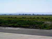  @ Sigonella Airport (military) - Taxiway - by CrewChief