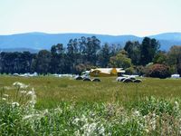  - This shot shows the relative size difference between the Antonov An-2 VH-CCE currently based at Lilydale and the other GA aircraft there, as well as the lush vegetation growth following good recent rains, after years of drought. - by red750