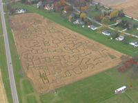  @ Weller Airport - Corn maze along the south side of the EW runway near Urbana, Ohio - by Bob Simmermon