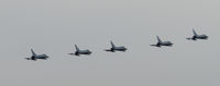  - after a long days spotting at RAF Leuchars i was treated to this 5 ship formation of 6sqn Typhoon FGR.4's,  a perfect way to end the day! - by Mike stanners