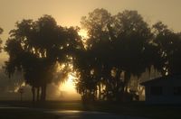  - Sunrise on a Foggy Morning at Lakeland Linder Regional Airport, Lakeland, FL  - by scotch-canadian