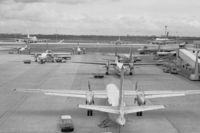  - Overview of the platform of Schiphol in 1980 with Friendships: a FH-227B of DAT in the foreground and F27s of NLM Cityhopper behind - by Van Propeller