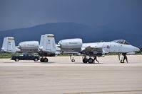  - Two A-10Cs from the 163rd Fighter Sq. “Blacksnakes”, 122nd Fighter Wing , Fort Wayne, IN
 ANG on the de arm pad after a training mission with the Idaho ANG. - by Gerald Howard