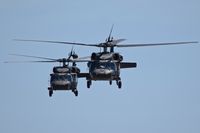  - Two UH-60Ls from the 1-183rd AVN BN, Idaho Army National Guard.
 - by Gerald Howard