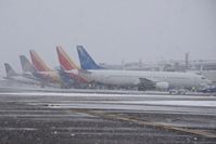  - Mid day flights loading up. - by Gerald Howard