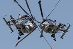  - Wildcats display at the Royal International Air Tattoo 2024 - by Roberto Cassar