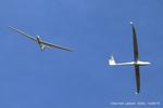  - Gliders over Lasham - by Chris Hall