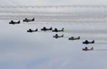  - North American T-28 formation flight at Oshkosh - by Mark Pasqualino